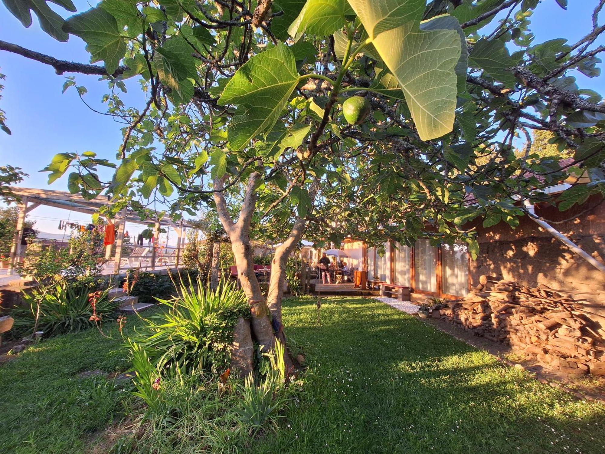Pilgrims Rest - Vila Nova De Cerveira - Hostel - Albergue - Al Luaran gambar